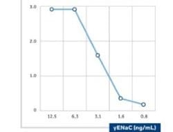 epithelial Sodium Channel gamma Mouse anti-Human, Clone: 3c7, Novus Biologicals:Antibodies:Primary